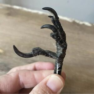 Authentic Crow Foot Talon Taxidermy Jewelry Making, Craft, Decor, Museum